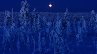 Finland full moon blue dark forests wallpaper