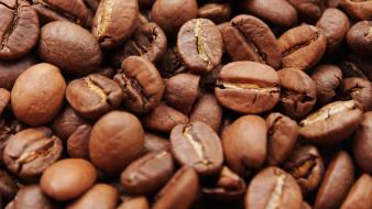 Brown coffee beans food macro wallpaper