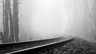 Trees forest mist grayscale railroad tracks wallpaper