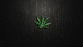 Marijuana plants blunt wallpaper