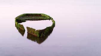 Water boats moss lakes algae sunken wreck wallpaper