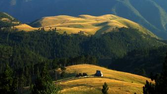 Serbia dawn fences fields forests wallpaper