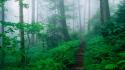 Mountains landscapes nature tennessee trail appalachian ridge foggy wallpaper