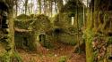 Autumn (season) ruins forest leaves ireland moss wallpaper