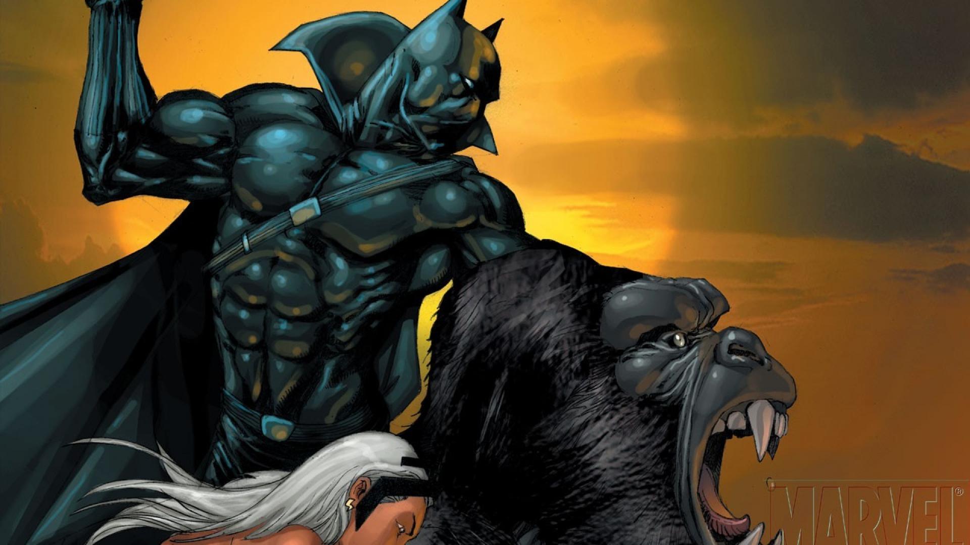 Black Panther Storm Comics Character Uncanny Xmen Wallpaper 7454