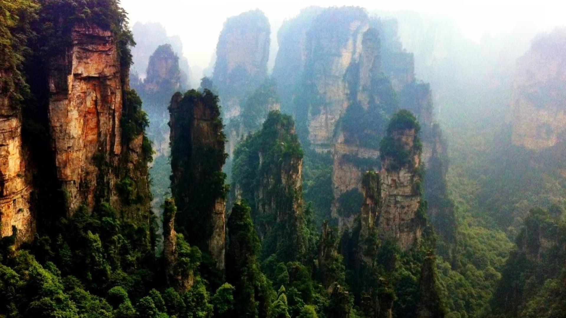 Зона лесов лес Китай Шеньжень