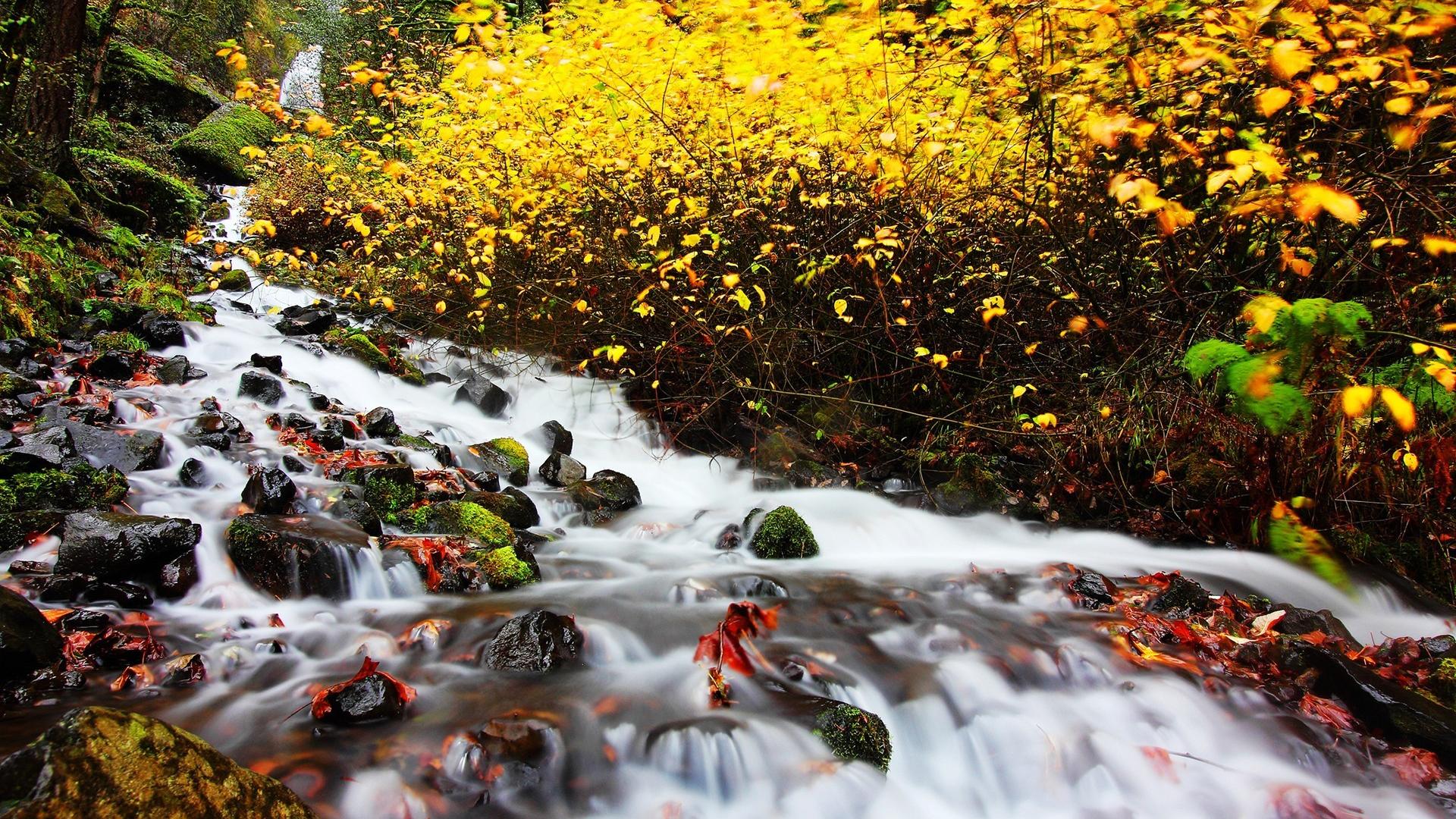 🥇 Stones Streams Moss Long Exposure Waterfalls Autumn Wallpaper 16516