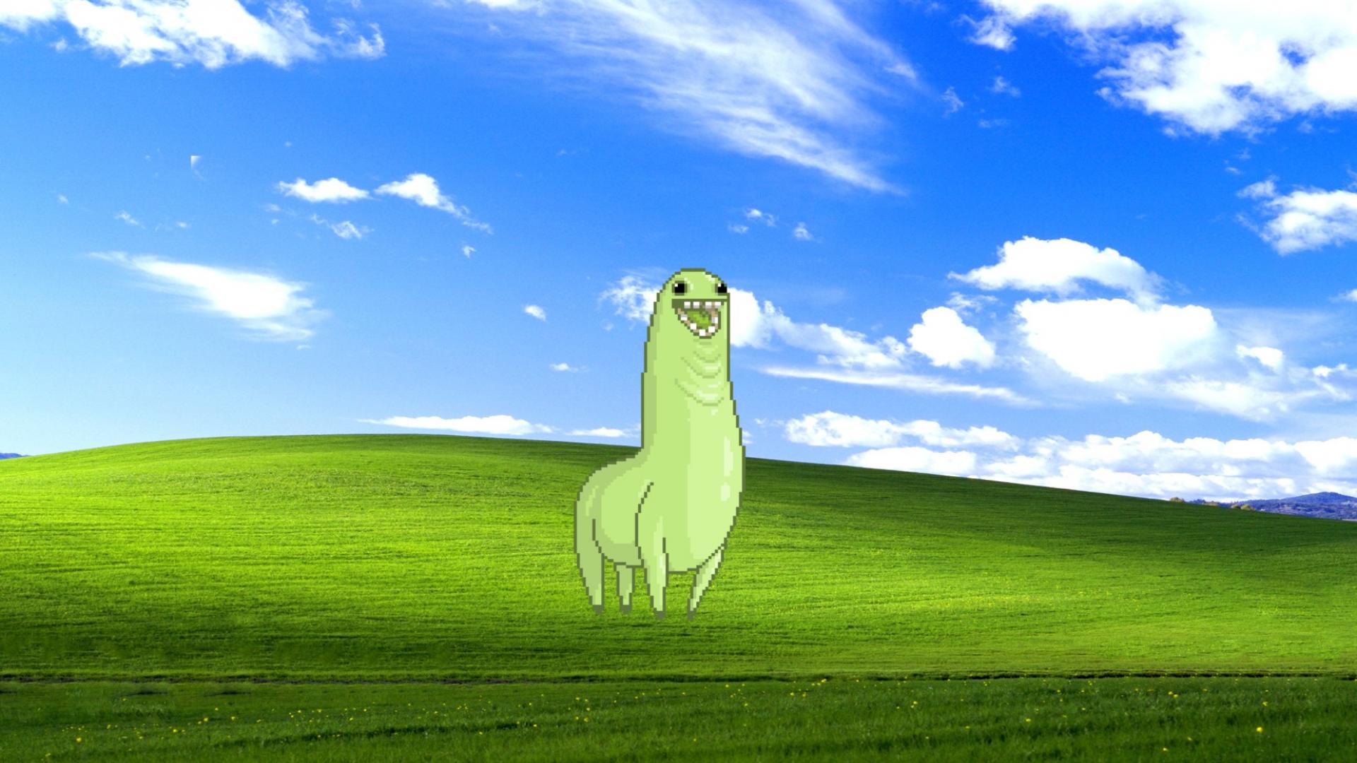 White animals grass windows xp skies walama wallpaper HD 1920x1080.