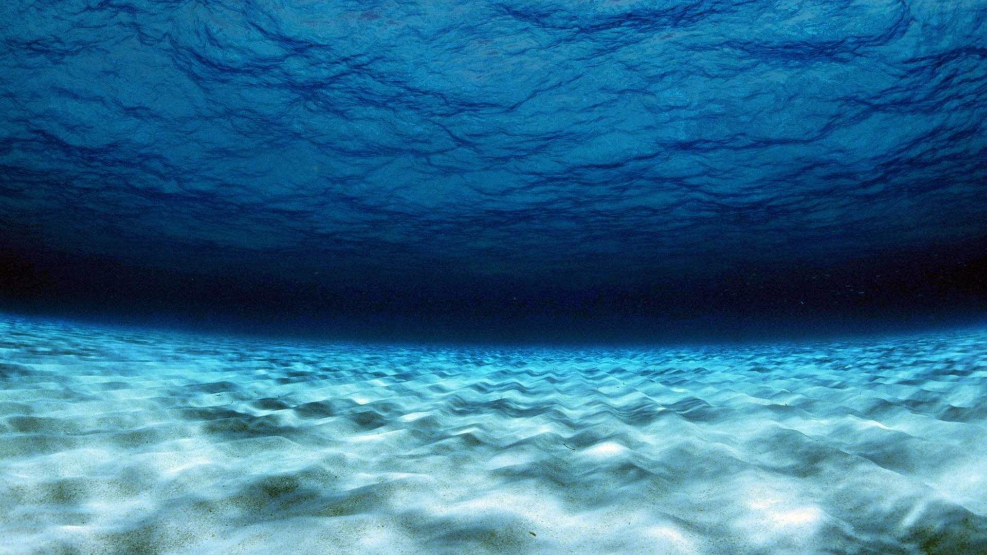 ð¥ Nature underwater sea water wallpaper | (111296)