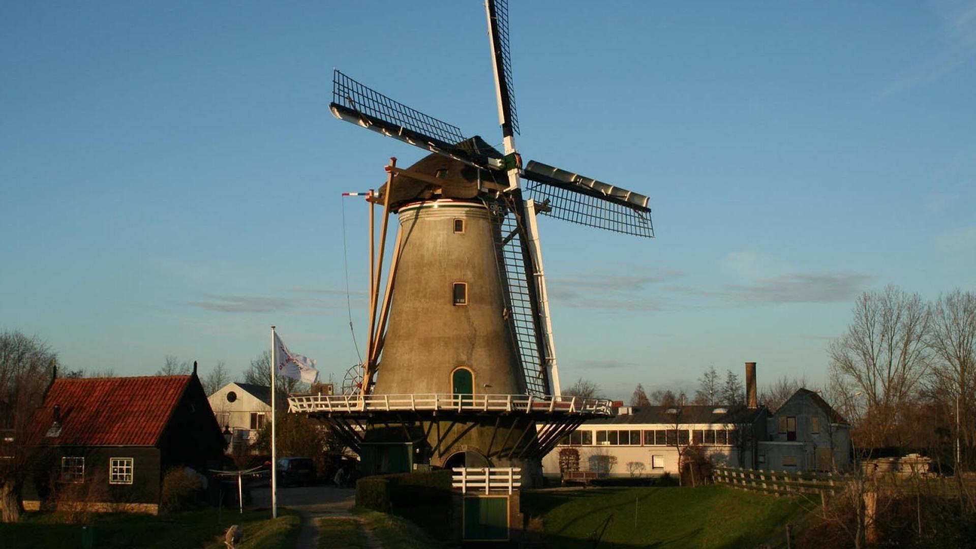 Земля ветряных мельниц. Ветряная мельница Нидерланды. Ветряные мельницы в Голландии в поле. Ветряные мельницы Киндердейка Нидерланды. Символ Голландии Ветряные мельницы.