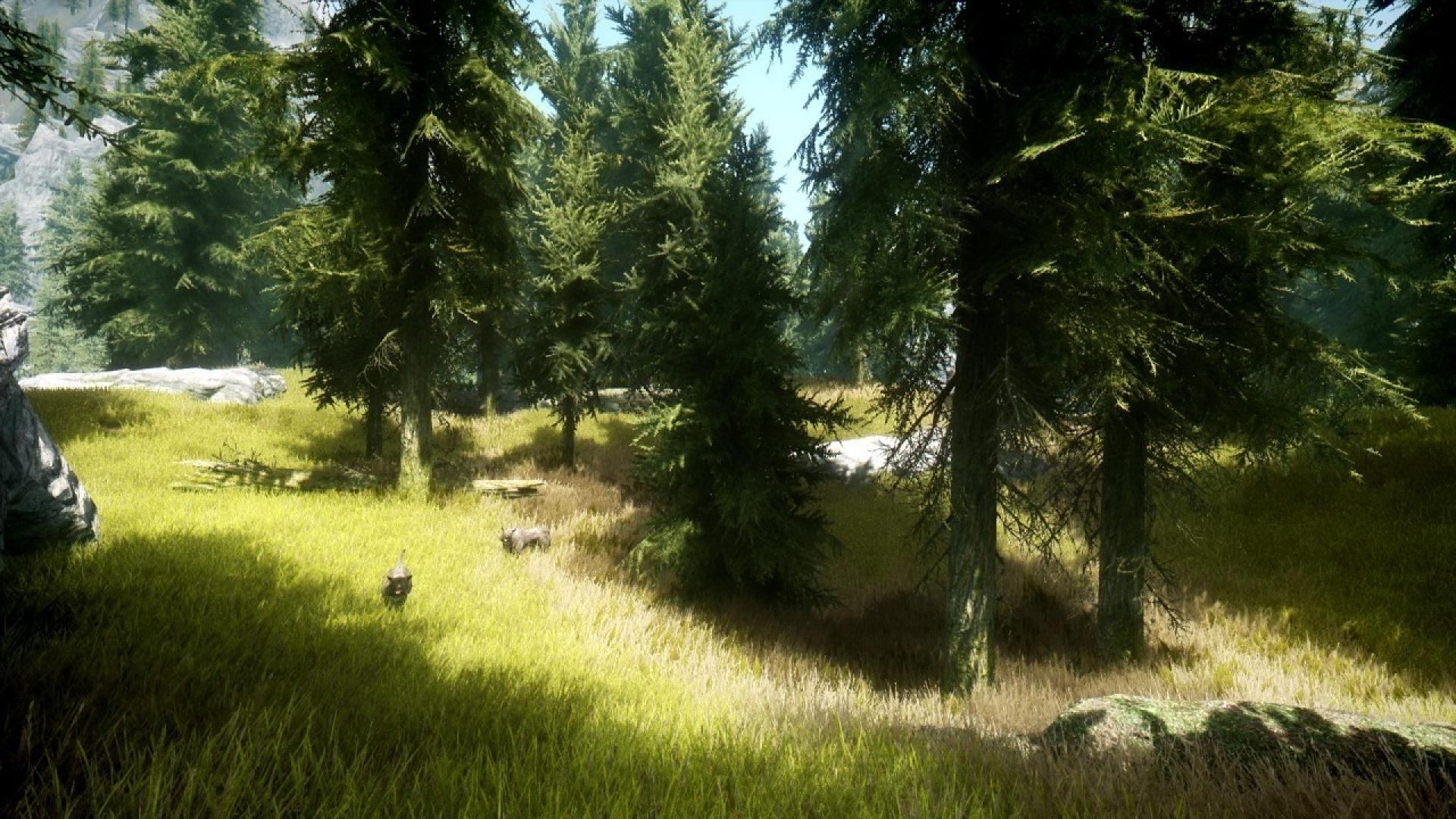 Skyrim graphics. Игры на природе. Игровые пейзажи. Лес в компьютерной игре. Игра лес реалистичный.