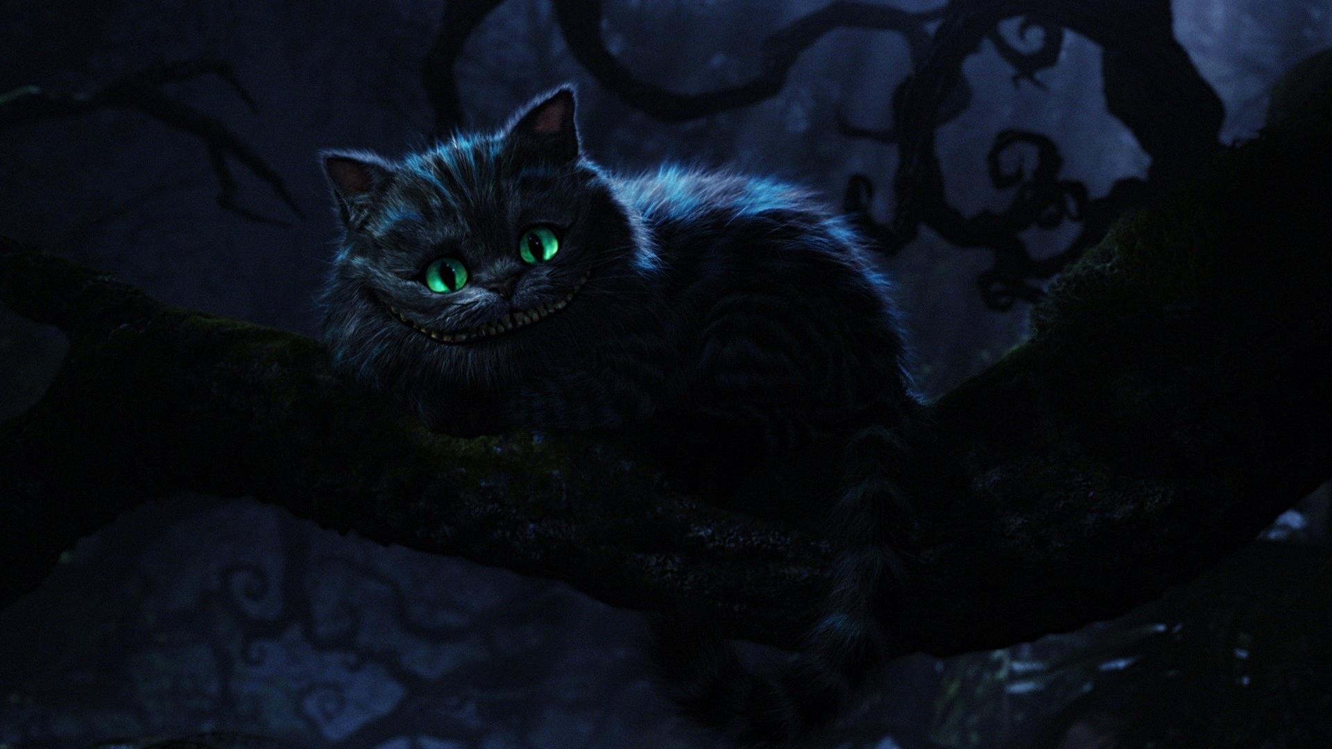 🥇 Alice in wonderland smiling cheshire cat widescreen wallpaper | (31418)