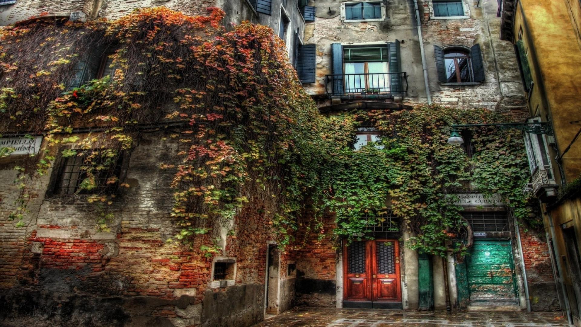 Обои старый дом. Руины плющ Испания. Заброшенные городки Италии. Заросшие улочки Стамбула. Заброшенный город.