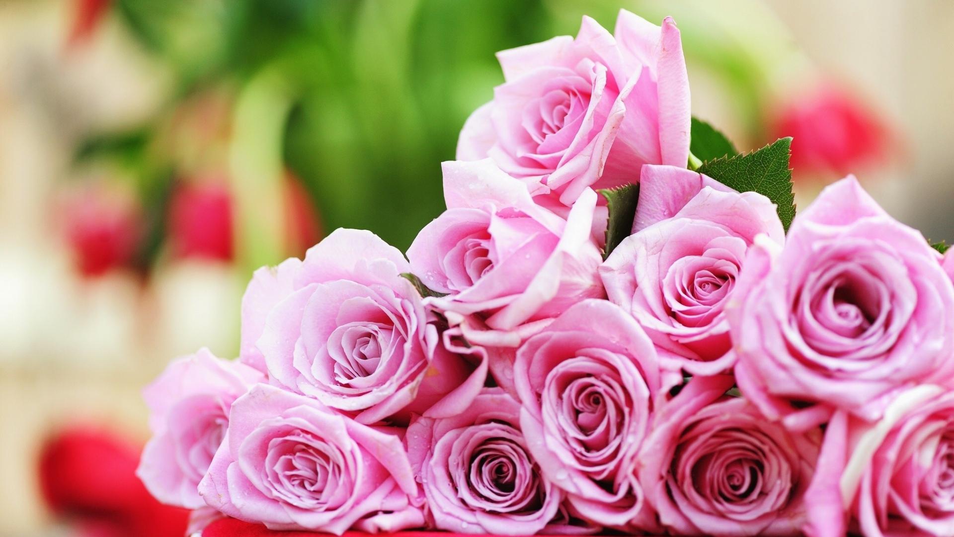 🥇 Flowers pink roses wallpaper | (89759)