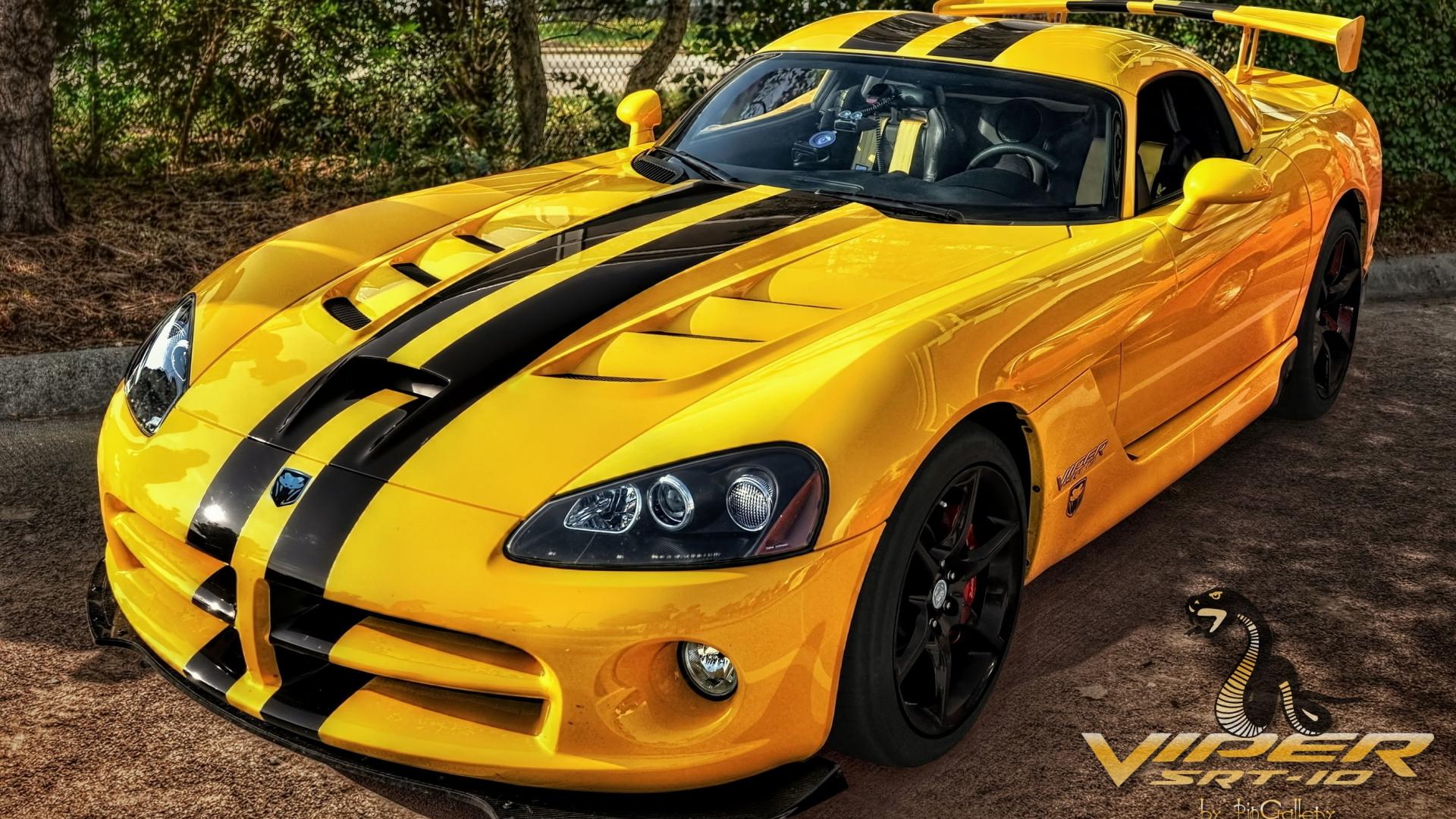 cars. viper. yellow. dodge. vehicles. 
