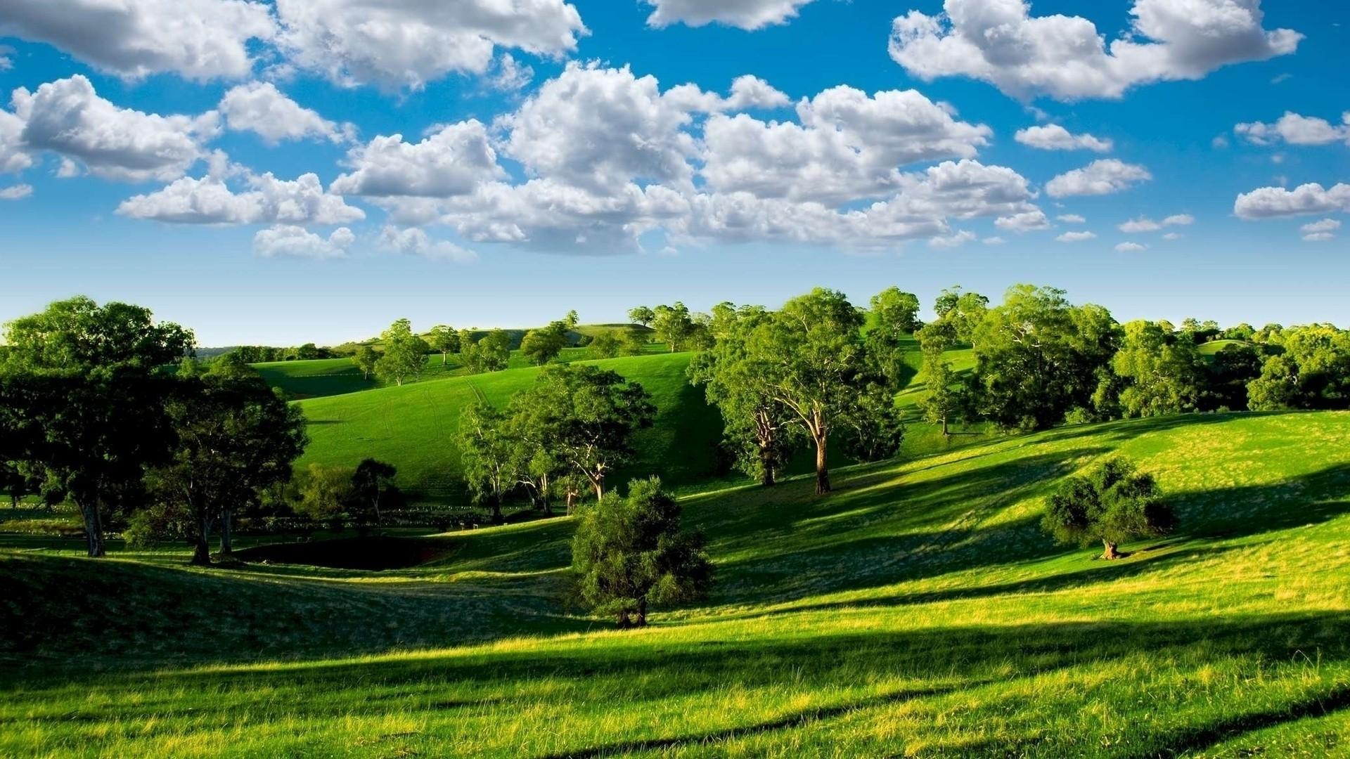 Green Clouds Trees Hills Summer Shadows Meadows Sky Wallpaper 1690