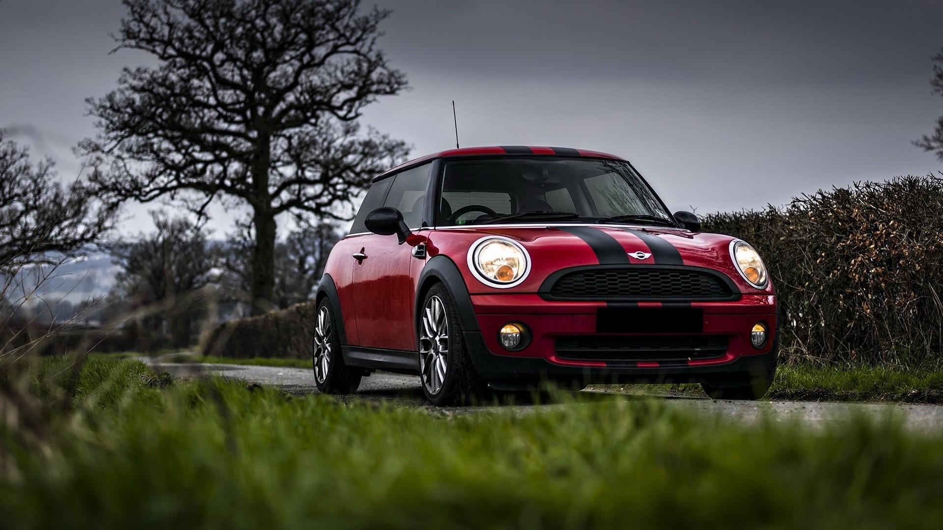 🥇 Cars grass low-angle shot mini cooper red wallpaper | (46184)