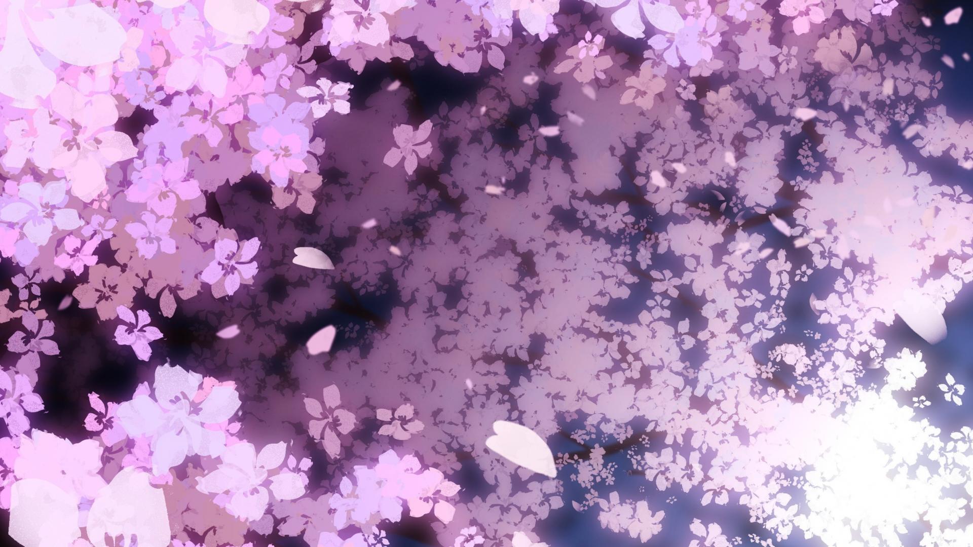 🥇 Blossoms cherry flower petals nature pink wallpaper | (136468)