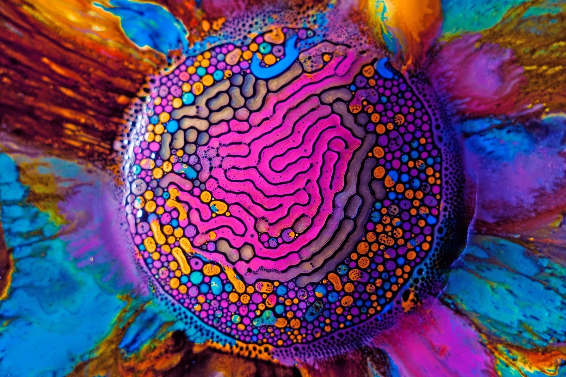 Multicolor Paint Pattern Abstract multicolor patterns liquid paint ferrofluid paintwork ...