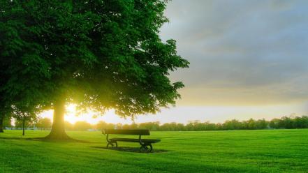 Bench In Sunlight wallpaper