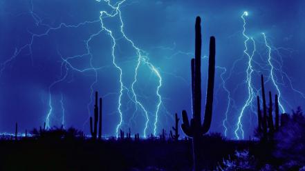 Cactus lightning night sky wallpaper