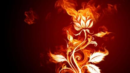 Fire Flower wallpaper