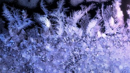 Ice frozen textures frost wallpaper