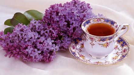 Lilac And Tea wallpaper