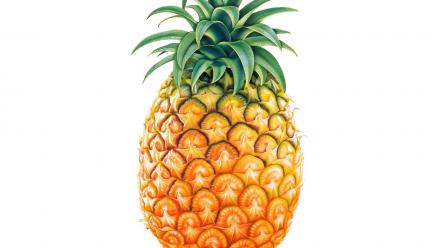 Pinapple Fruit wallpaper