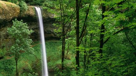 Silver falls state park wallpaper