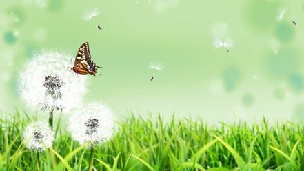 Butterfly Nature wallpaper