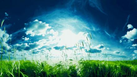 Green clouds nature sun wallpaper