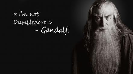 Harry potter trolling ian mckellen magician dumbledore wallpaper