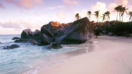 Landscapes beach rocks palm trees sea wallpaper