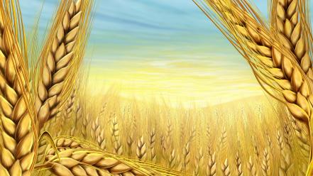 Paintings multicolor wheat wallpaper