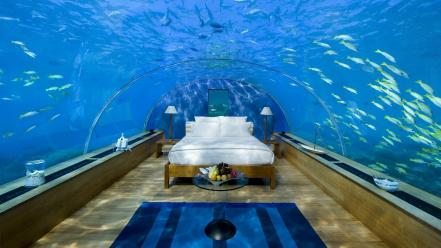 Aquarium beds wallpaper