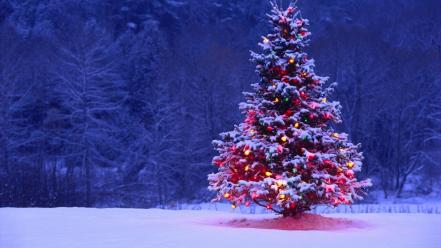 Christmas trees landscapes nature snow wallpaper