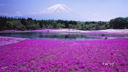 Bing landscapes volcanoes wallpaper