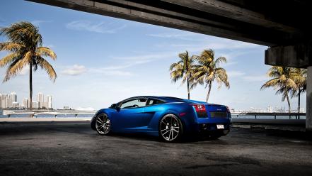 Lamborghini gallardo blue cars palm trees wallpaper
