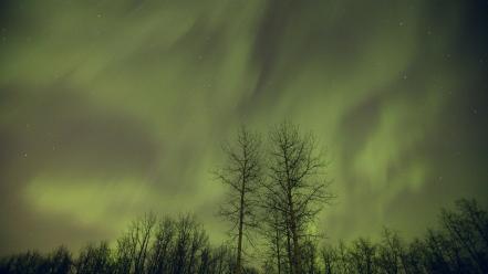 Alberta canada aurora borealis wallpaper