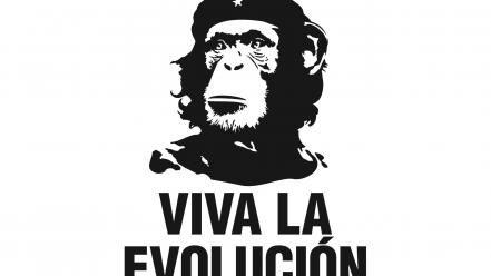 Che guevara evolution funny revolution wallpaper