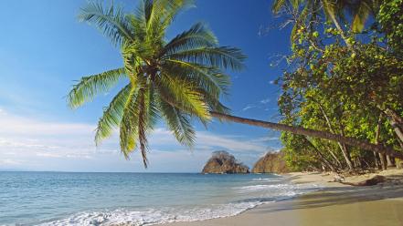 Costa rica pacific beaches coast palm trees wallpaper