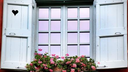 Flowers hearts nature red window wallpaper