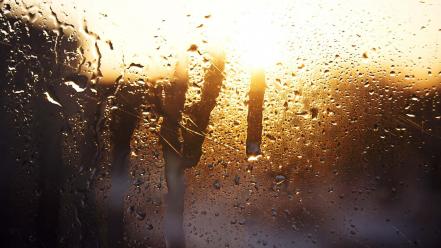 Glass rain on sunlight water wallpaper