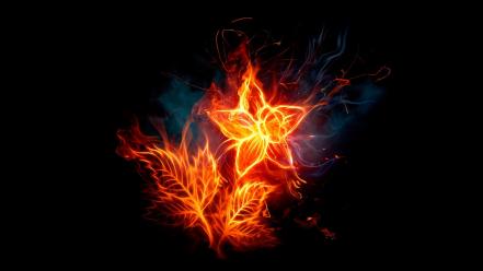 Abstract black background fire flower flaming wallpaper
