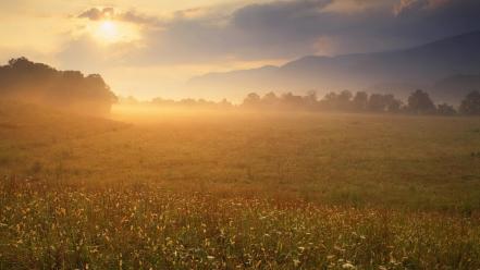 Pices fields plains sunlight wallpaper