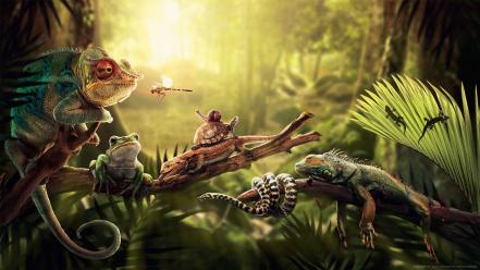 Animals frogs insects lizards snakes wallpaper