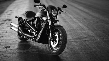 Harleydavidson monochrome motorbikes night wallpaper