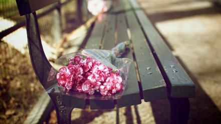 Bench bouquet flowers pink wallpaper