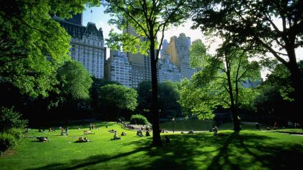 Central park new york city wallpaper